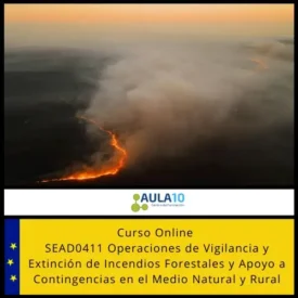 curso de incendios forestales SEAD0411