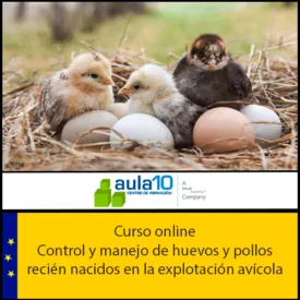 Curso de Control y Manejo de Huevos y Pollos Recién Nacidos en Explotación Avícola