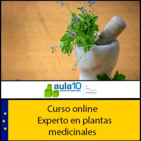 Curso online experto en plantas medicinales