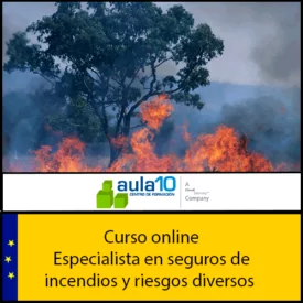 Curso online de Especialista en Seguros de Incendios y Riesgos Diversos