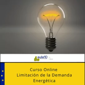 Curso Online Fundamentos del Concepto de Liderazgo - 2020-10-01T134228.074