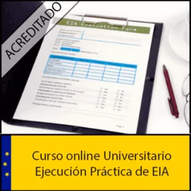 Curso Online Ejecución Práctica de EIA