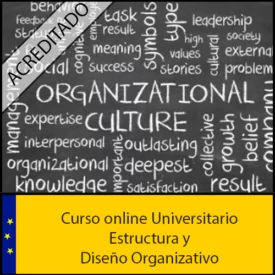Curso online Estructura y Diseño Organizativo