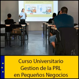 Gestión de la prevención de riesgos laborales en pequeños negocios Universidad Antonio de nebrija Curso online Creditos ECTS