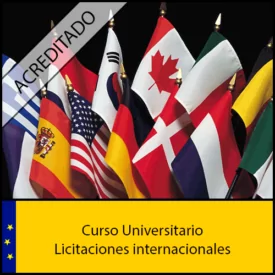 Licitaciones internacionales Universidad Antonio de nebrija Curso online Creditos ECTS