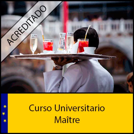 Maitre Universidad Antonio de nebrija Curso online Creditos ECTS