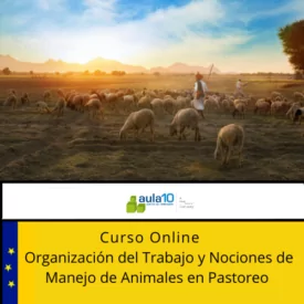 Organización del trabajo y nociones de manejo de animales en pastoreo