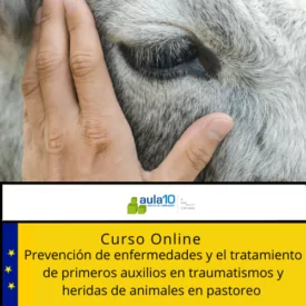 Curso Online Prevención de Enfermedades y el Tratamiento de Primeros Auxilios en Traumatismos y Heridas de Animales en Pastoreo