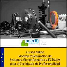 Montaje y Reparación de Sistemas Microinformáticos IFCT0309