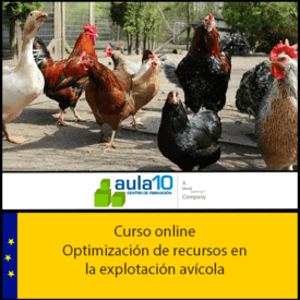 Optimización de recursos en la explotación avícola