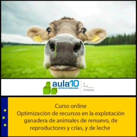 Optimización de recursos en la explotación ganadera de animales de renuevo, de reproductores y crías, y de leche