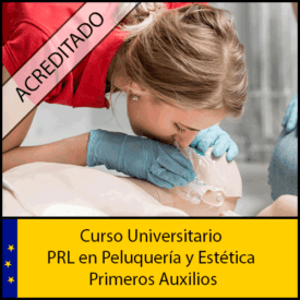 PRL-en-Peluquería-y-Estética-y--Primeros-Auxilios-Universidad-Antonio-de-nebrija-Curso-online-Creditos-ECTS